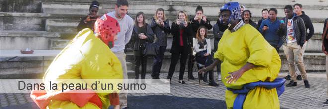 Dans la peau d'un sumo