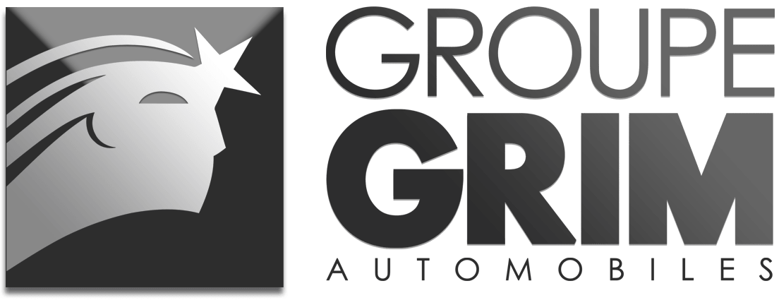 logo-groupe-grim-accueil logo-groupe-grim-accueil